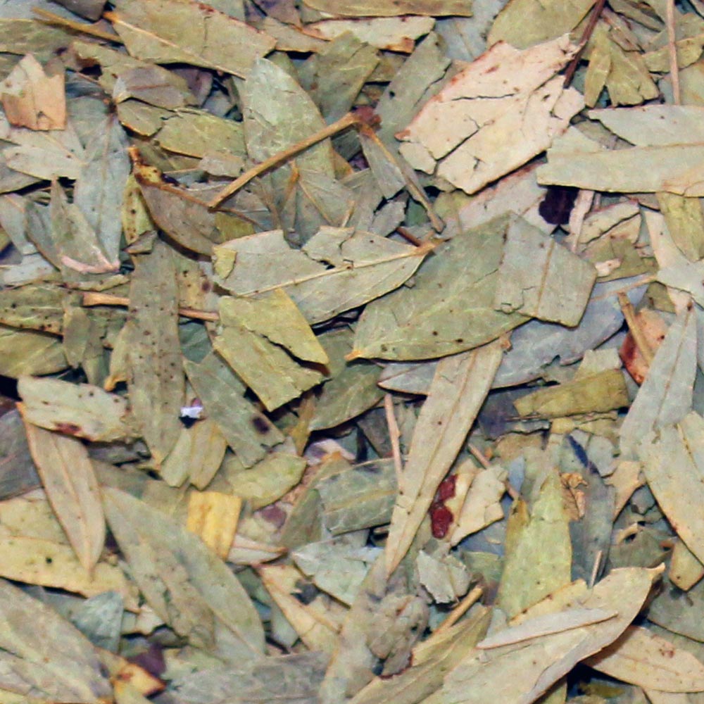 Senna Tea | Senna laxative | Heart & Mountain Tea - Heart and Mountain
